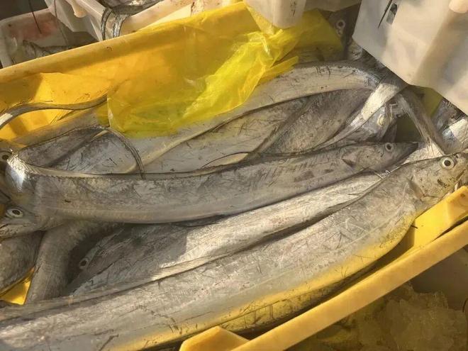 好吃的带鱼竟然在南通pg电子首页中国最(图8)